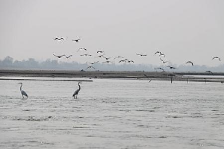 KOSHI TAPPU WILDLIFE RESERVE TOUR (3 DAYS)