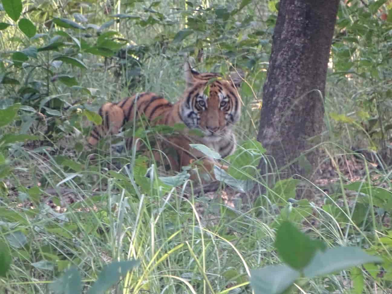 BARDIA NATIONAL PARK TOUR (4 DAYS)