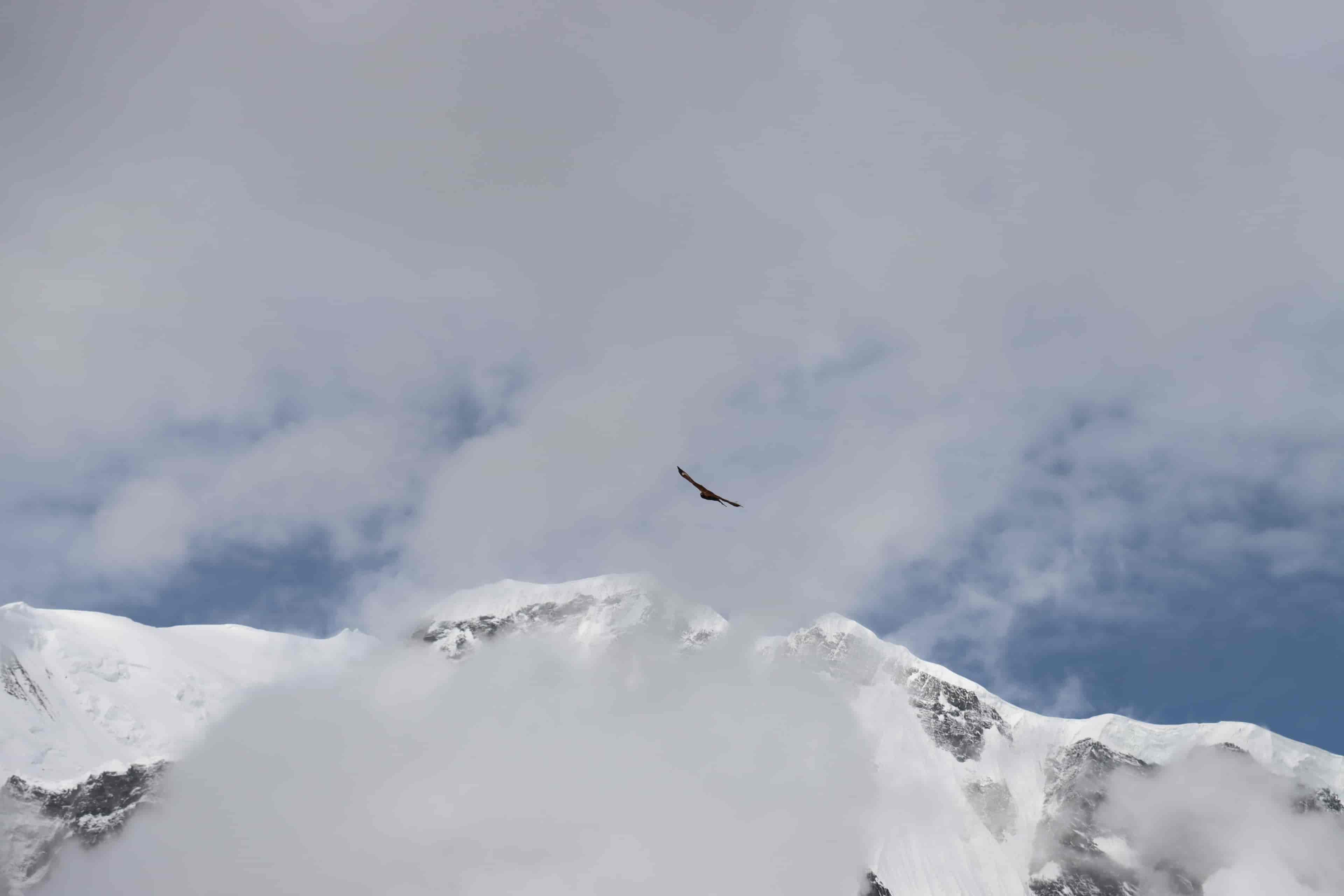 Annapurna