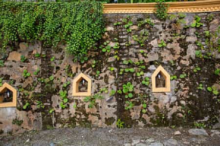 places in jungle mahal wellness resort