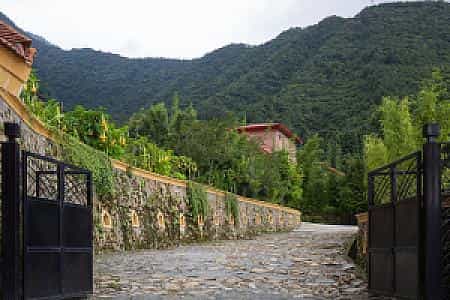 jungle mahal wellness resort