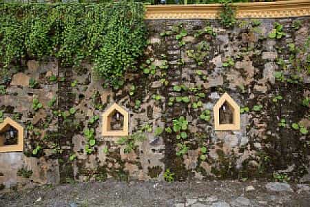 places in jungle mahal wellness resort