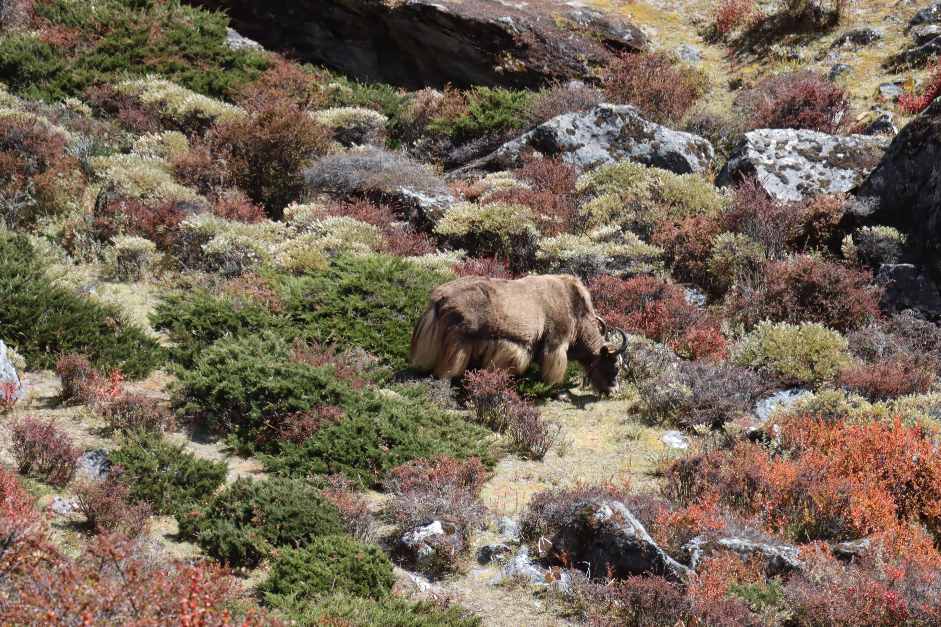 Sagarmatha National Park