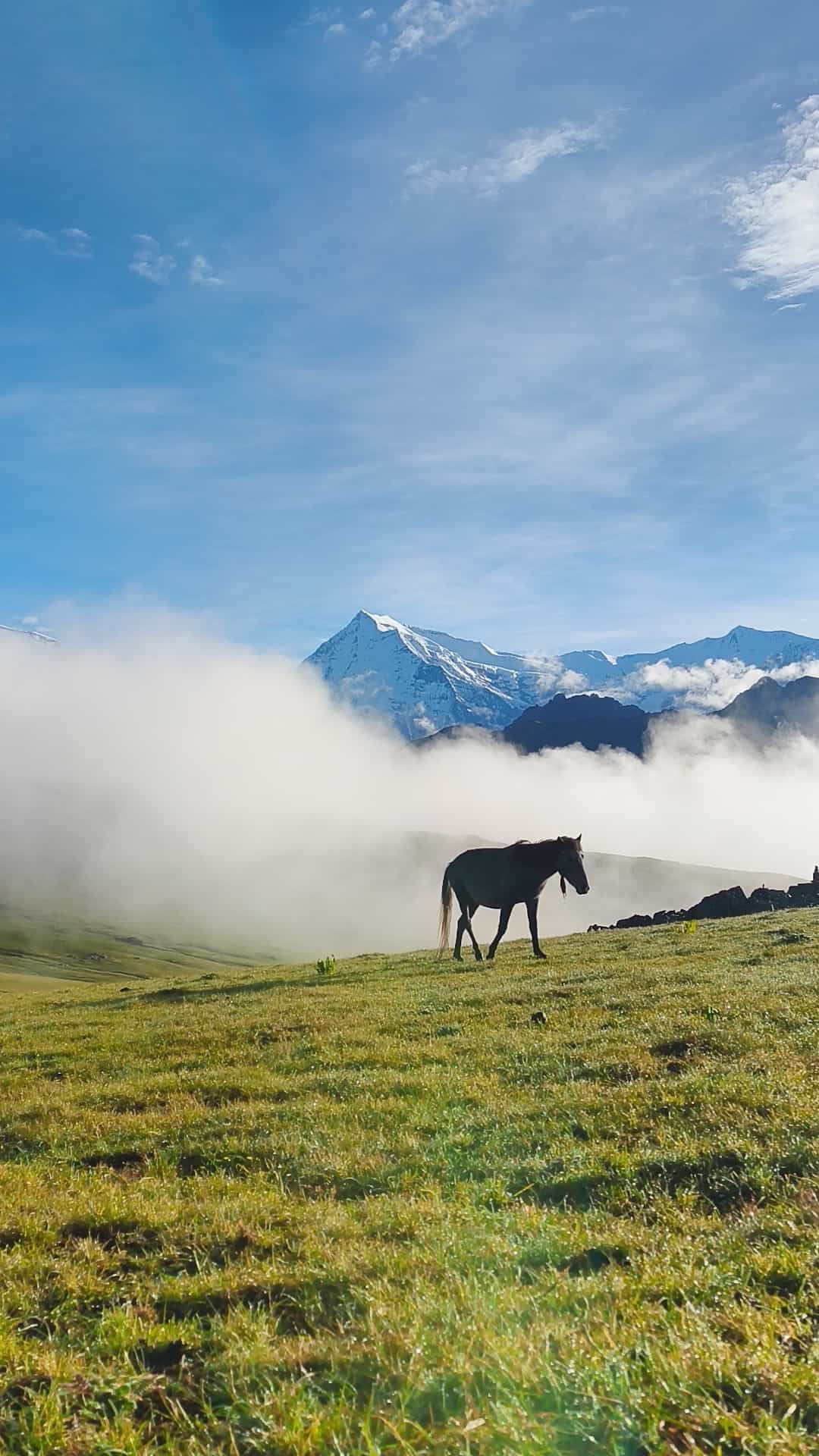 View of Mount Dhaulagiri towering from Tikadhara
